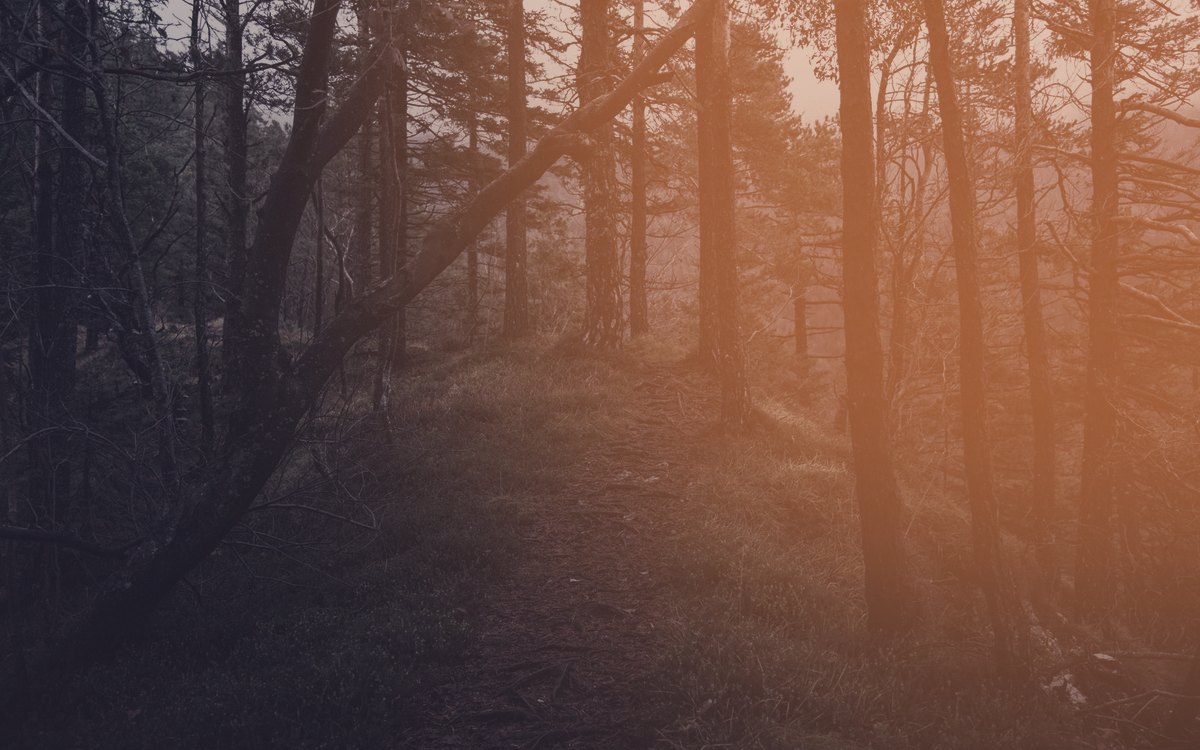 Support groups: what role they play in recovery